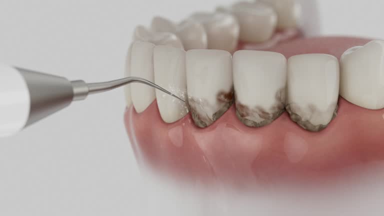 Reliable Dental contractor in Saegertown, PA by Dentist Open Now